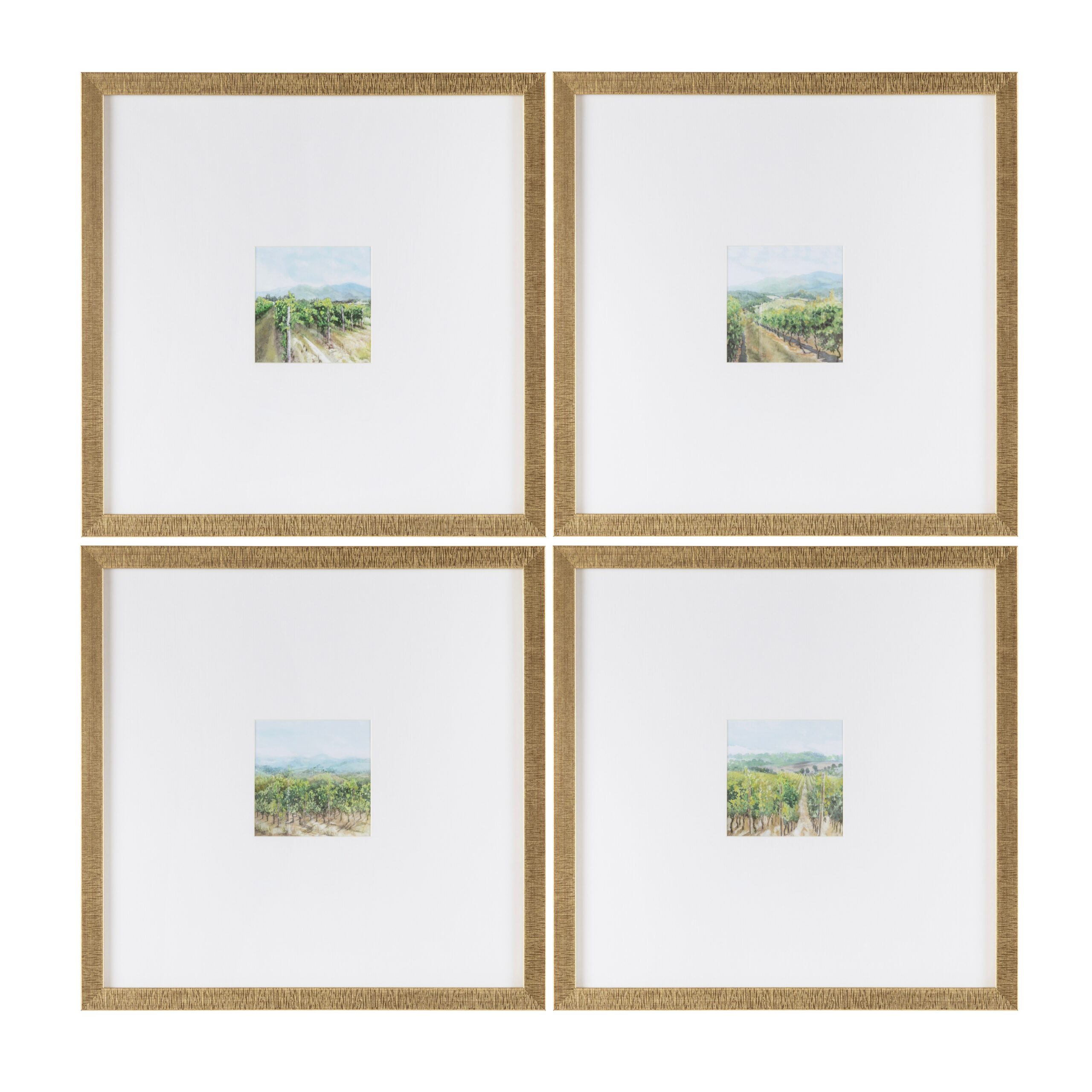17b59fd93d191614fe4a71761b813d5f Vineyards - Image 1