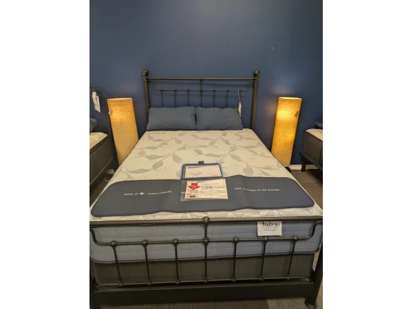 serta icomfortpro queen mattress 15" canterbury plush (copy)
